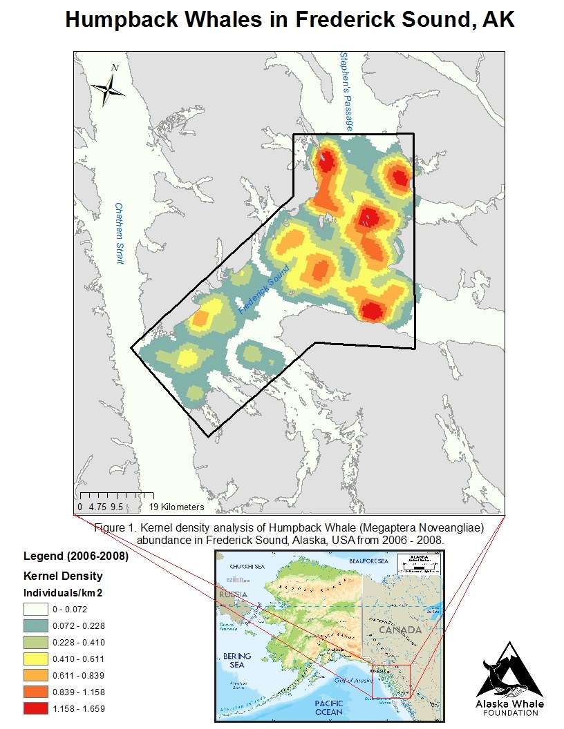 Humpback Whale density of Southeast Alaska in Frederick Sound, 2006-2008 using a Kernel Density estimate. Figure provided by the Alaska Whale Foundation.