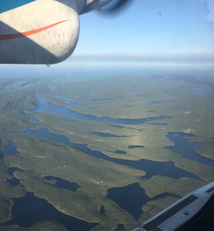 A view of a landscape of forests and lakes from a float plane