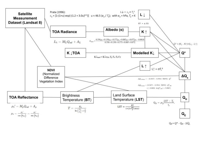 A flow diagram describing how the results presented in this article were produced.