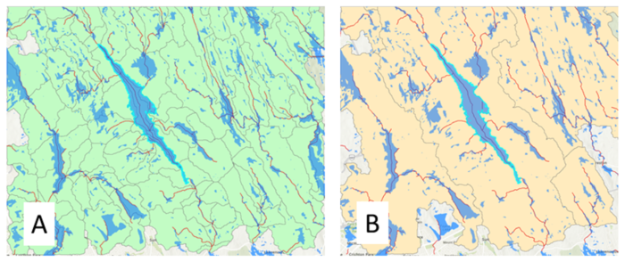 Two map views showing the vector lines produced by the drain line processing tool, and the new polygon features generated by the adjoint catchment process. 